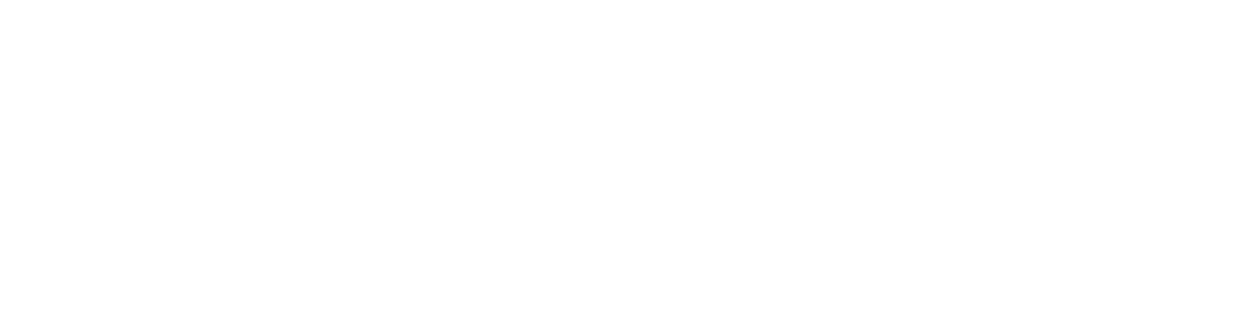 Networking Premium